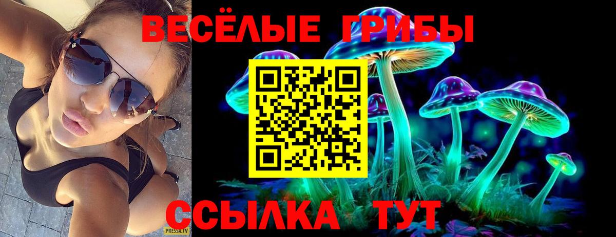 Протвино  Псилоцибиновые грибы мицелий  Вход с VPN 