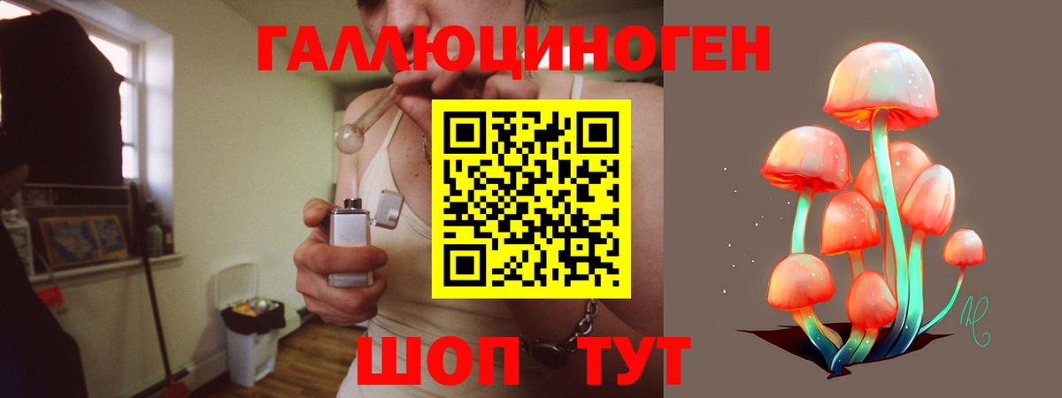 Псилоцибиновые грибы Psilocybe Протвино