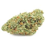 Шишки OG Kush  (Гидропоника, бошки) VHQ в Протвино